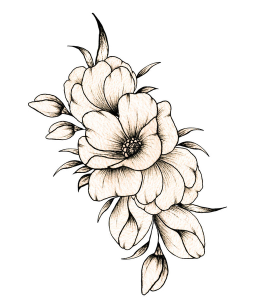 Hand drawn floral bouquet with various big and small flowers and leaves isolated on white background, warm ink drawing monochrome elegant flower composition in vintage style - 写真・画像