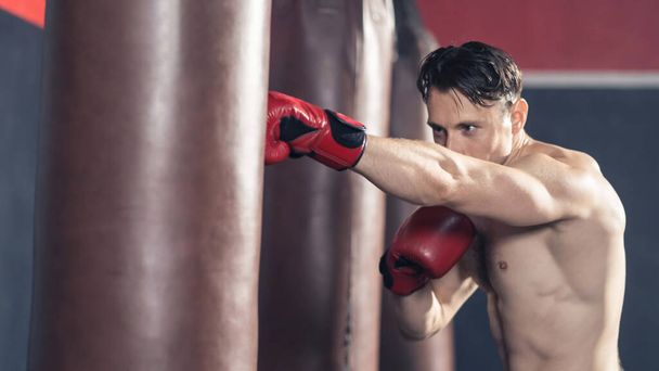 Caucasian bodybuilder man shirtless athlete wear boxing gloves, doing workout exercise by hitting a punching bag or Boxing Sandbag. Young sportsman boxer maintain muscle for health in gym or fitness. - Photo, Image