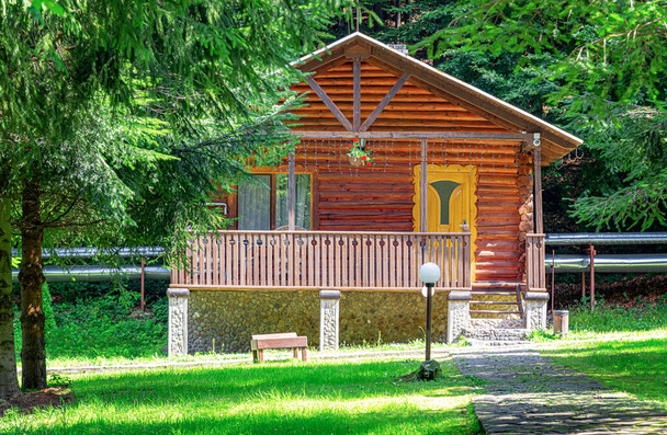 dom z drewna w lesie - Zdjęcie, obraz