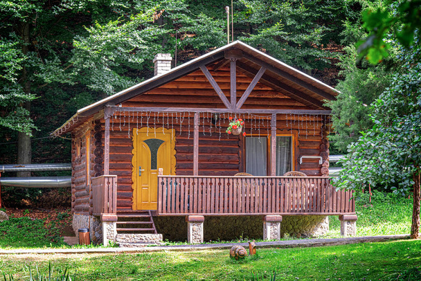 дерев'яний будинок в лісі
 - Фото, зображення