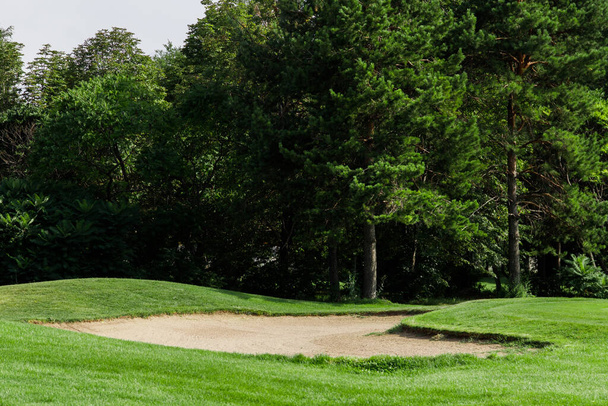 Näkymä golfkentälle viehättävillä puilla - Valokuva, kuva