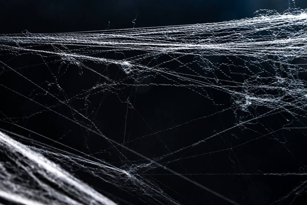 Halloween background of a horror spider net or cobweb isolated with copy space for text. - Φωτογραφία, εικόνα