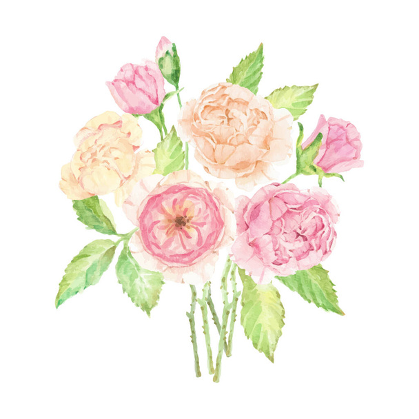 acquerello bellissimo bouquet rosa inglese isolato su sfondo bianco - Vettoriali, immagini