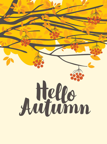 Vector banner with the inscription Hello autumn and branches of rowan tree. Decorative autumn illustration in flat style with yellowed foliage and ripe red rowan berries on a light background - Vettoriali, immagini