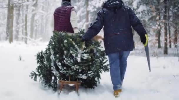 Családi felkészülés karácsonyra  - Felvétel, videó