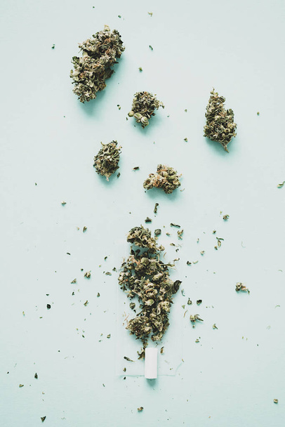 Marijuana buds and rolling cannabis joint. Crushed buds of marijuana on the tobacco paper. Drugs concept. - 写真・画像