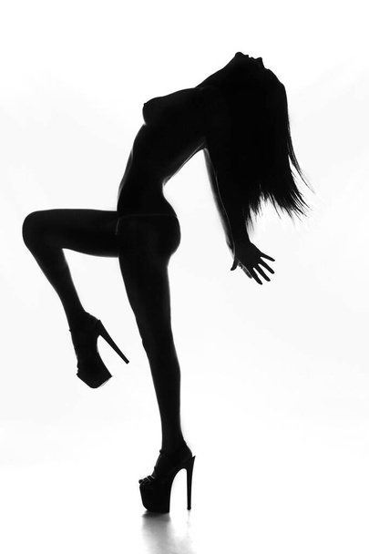 Silhouette of a girl on a light background. isolated on white background. - 写真・画像