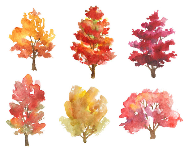 Set of hand drawn watercolor autumn trees isolated on white - Фото, зображення