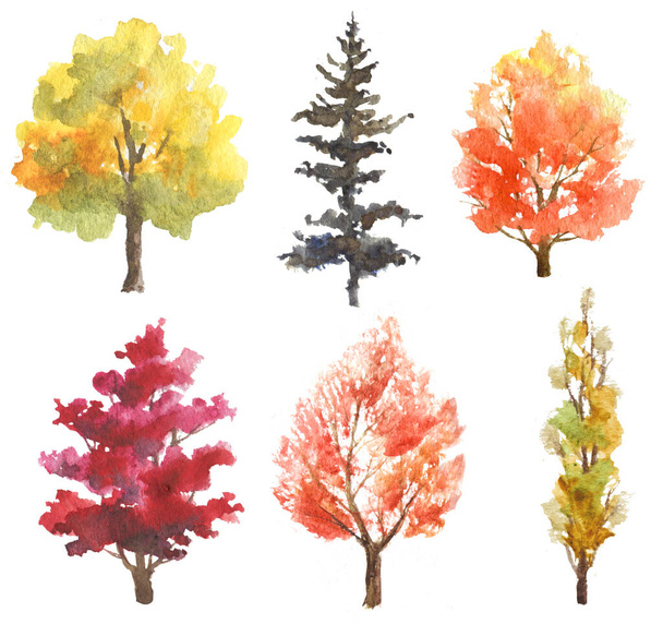 Set of hand drawn watercolor autumn trees isolated on white - Фото, зображення
