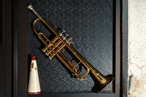 Summer jazz instrument trumpet standing alone - Φωτογραφία, εικόνα