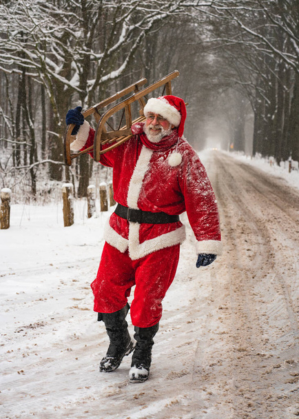Alegre Papai Noel segura um trenó em suas mãos e caminha bravo através da floresta coberta de neve de inverno. - Foto, Imagem