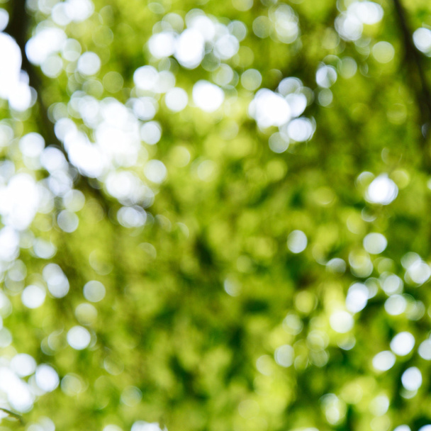 absztrakt háttér zöld természetes fény bokeh - Fotó, kép