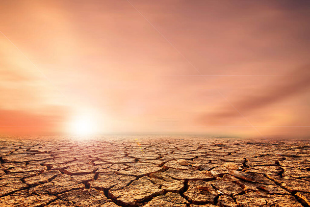Aarde die smelt in droge bodems barst als gevolg van de opwarming van de aarde. concept van milieubehoud en vermindering van de opwarming van de aarde - Foto, afbeelding