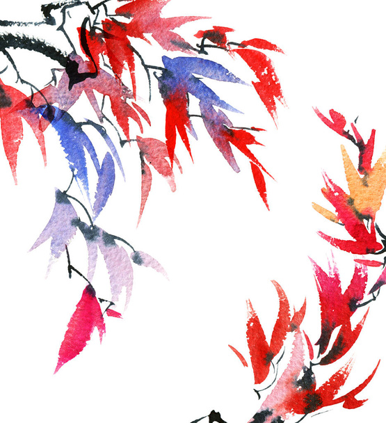Aquarel en inkt illustratie van boom brunch met veelkleurige bladeren op witte achtergrond. Oosterse traditionele schilderkunst in stijl sumi-e of gohua. - Foto, afbeelding
