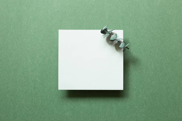 Порожній білий папір з евкаліптовим листом на зеленому тлі. вид зверху, місце для копіювання
 - Фото, зображення