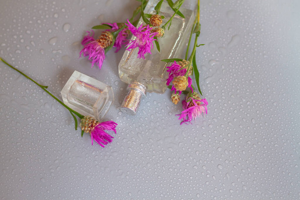 A bottle of perfume or herbal oil from violet, magenta, crimson, lilac, burgundy, scarlet colors on a gray background. - Fotografie, Obrázek