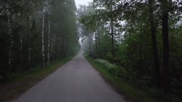 Καλοκαίρι πρωί έξω από την πόλη ο δρόμος μέσα από το δάσος - Πλάνα, βίντεο