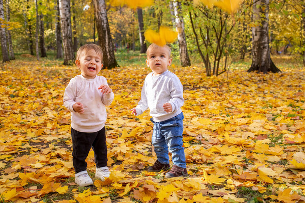 niños alegres la captura de hojas de arce cayendo en el otoño de la ciudad Parque. - Foto, imagen