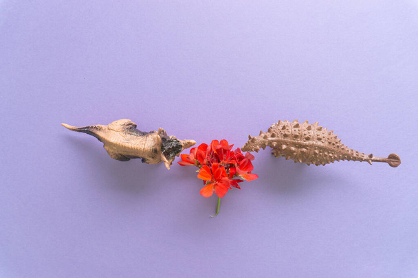 Concepto creativo de dos dinosaurios marrones y flor roja - Foto, Imagen