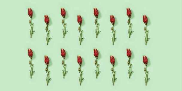 Regular creative pattern from dry red flowers Eustoma on soft green. Nature or environment concept. Top view, flat lay. - Photo, image
