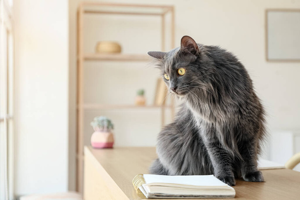 Симпатичная серая кошка на столе дома - Фото, изображение