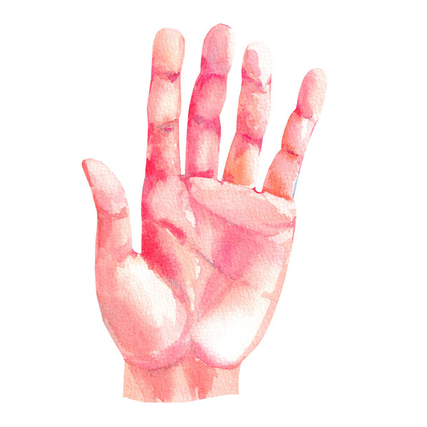 Watercolor hand man on white background for product design - Photo, Image