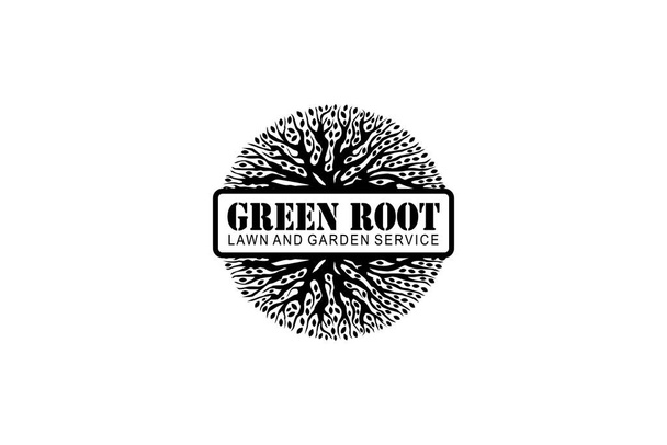 Vector gráfico creativo de raíz verde en plantilla de diseño de logotipo de fondo blanco - Vector, imagen