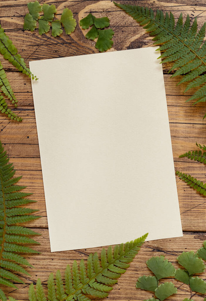 Carta di carta bianca su un tavolo di legno decorato con foglie di felce vista dall'alto. Scena di modello tropicale con carta d'invito piatto laici - Foto, immagini