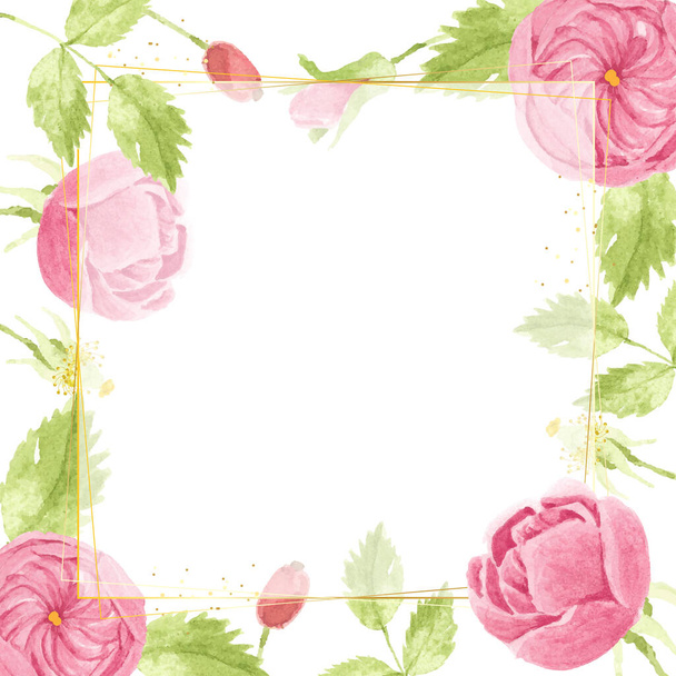 aquarelle rose anglais rose avec cadre carré de luxe doré  - Vecteur, image