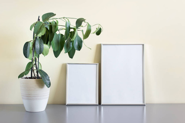 Mockup template with two silver frames A5 and A4 standing next to wall with decorative home plant in pot. - Foto, Imagen
