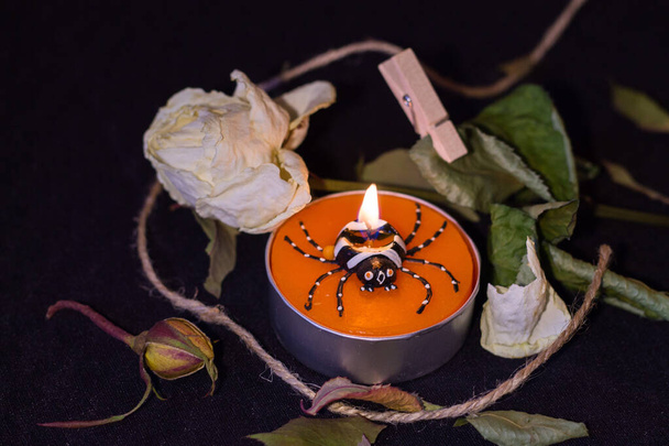 A dry dead white rose and a burning spider candle on the black background with dead leaves and a rope and a wooden clip - 写真・画像