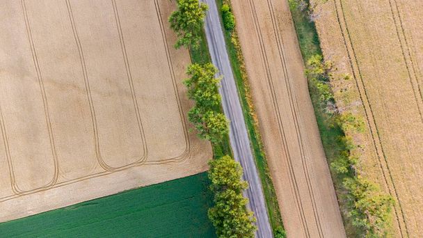 Vue aérienne d'un drone survolant différents champs agricoles verts jaunes - Photo, image