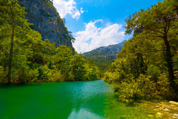 Ormandaki bir kanyonda zümrüt renkli bir göl. Antalya 'daki Goynuk Kanyonu. Bir kanyondaki orman ve gölün manzarası..  - Fotoğraf, Görsel