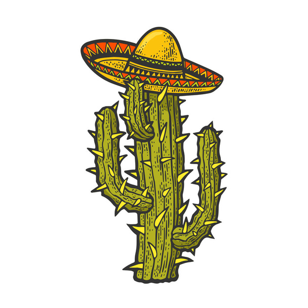sombrero mexican hat on cactus plant color sketch engraving vector illustration. T-shirt apparel print design. Scratch board imitation. Black and white hand drawn image. - Vettoriali, immagini