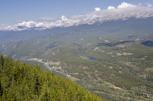 Vista de Whistlers Mount no verão no Parque Nacional Jasper, Alberta, Canadá - Foto, Imagem