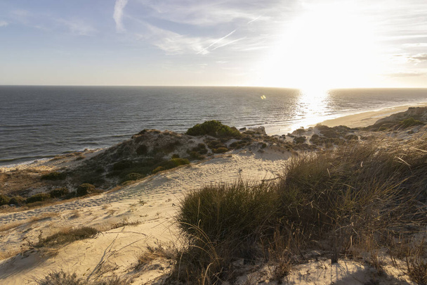 De langste kustlijn van Spanje is de kust van Huelva. Van "Matalascanas" tot "Ayamonte". Kust met kliffen, duinen, pijnbomen, groene vegetatie. Het wordt beschouwd als een van de mooiste stranden van Spanje - Foto, afbeelding