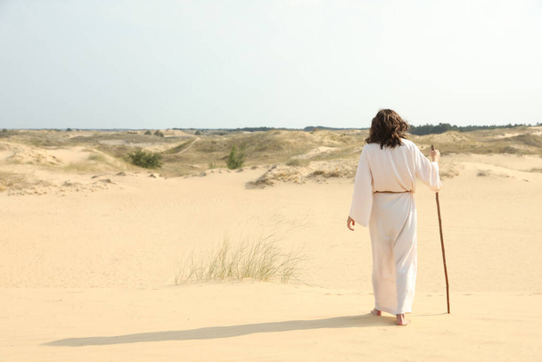Jesus Christ walking with stick in desert, back view. Space for text - Fotoğraf, Görsel