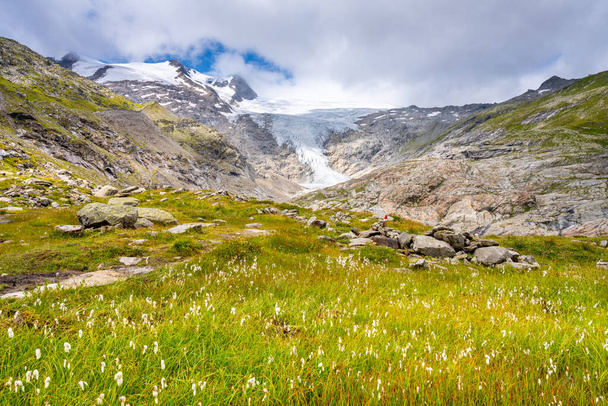 Mountain landscape with cottongrass meadow and glacier - Fotografie, Obrázek