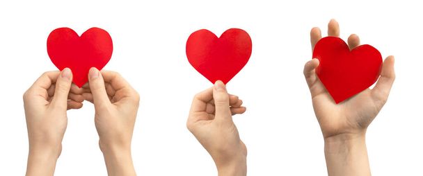 Концепция донорства органов. Баннер, рука с красным сердцем изолирована на белом фоне. Копирование пространства  - Фото, изображение