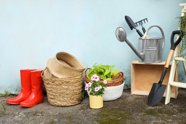 Beautiful plants, gardening tools and accessories near shed outdoors - Fotografie, Obrázek
