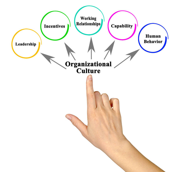 П'ять аспектів організаційної культури
 - Фото, зображення