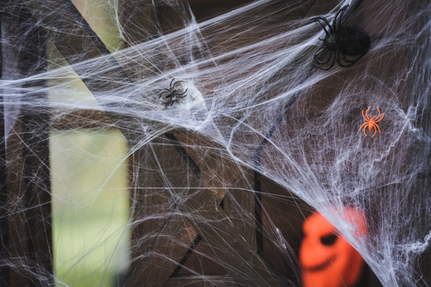 Cadılar bayramı için dekore edilmiş oyuncak örümceklerle örümceğin ahşap çitteki görüntüsünü kapat - Fotoğraf, Görsel