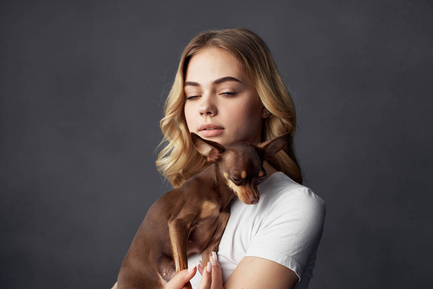 beautiful woman pedigree dog fashion Lifestyle dark background - Photo, Image