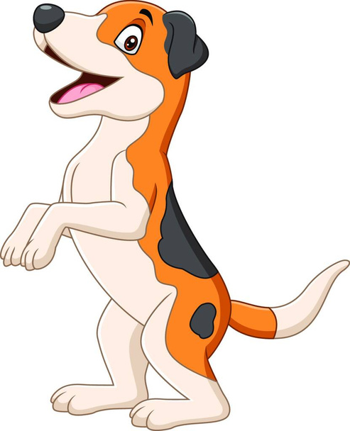 Cartoon funny dog standing on white background - Διάνυσμα, εικόνα