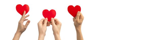 Journée mondiale du cœur. Bannière, mains avec coeur en papier isolé sur fond blanc. Espace de copie  - Photo, image