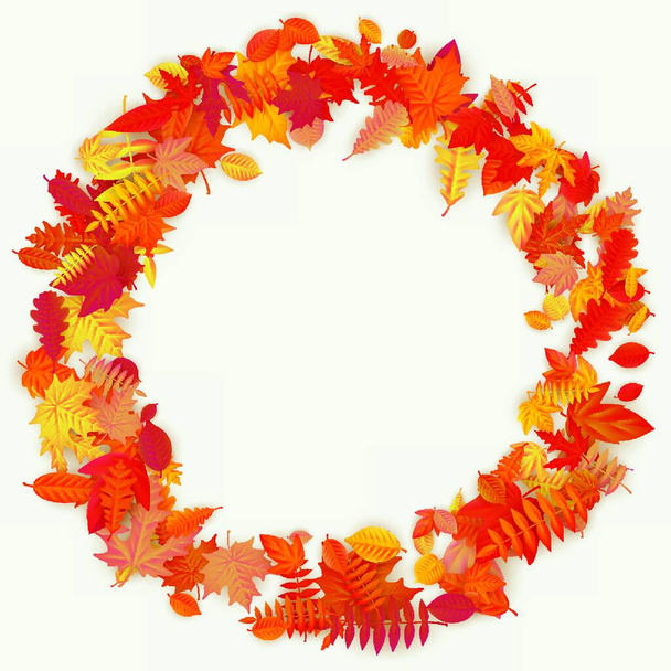 autumn leaves frame on white background - Vektör, Görsel