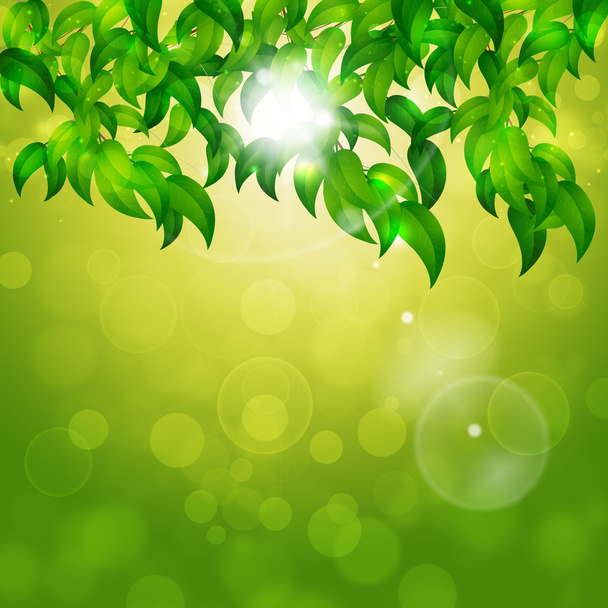 Green Nature Bright Background - Foto, imagen