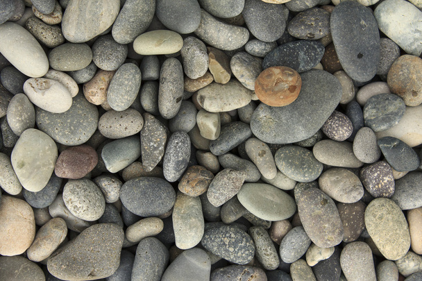 Sahildeki çakıl taşlarının dokusu - Fotoğraf, Görsel
