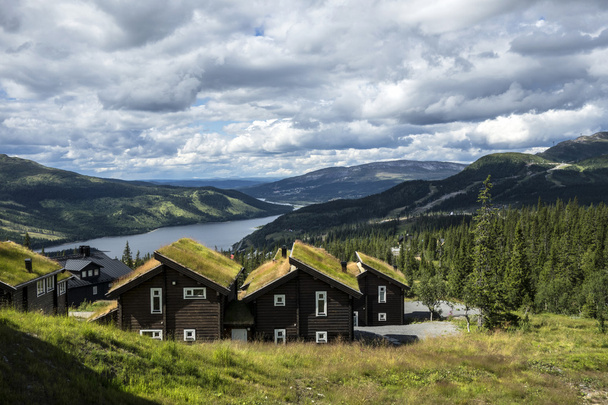 木造住宅を持つスウェーデン北部の風景 - 写真・画像