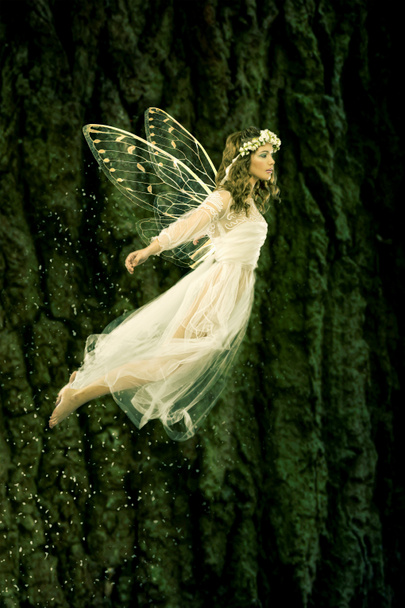 Летающая фея
 - Фото, изображение